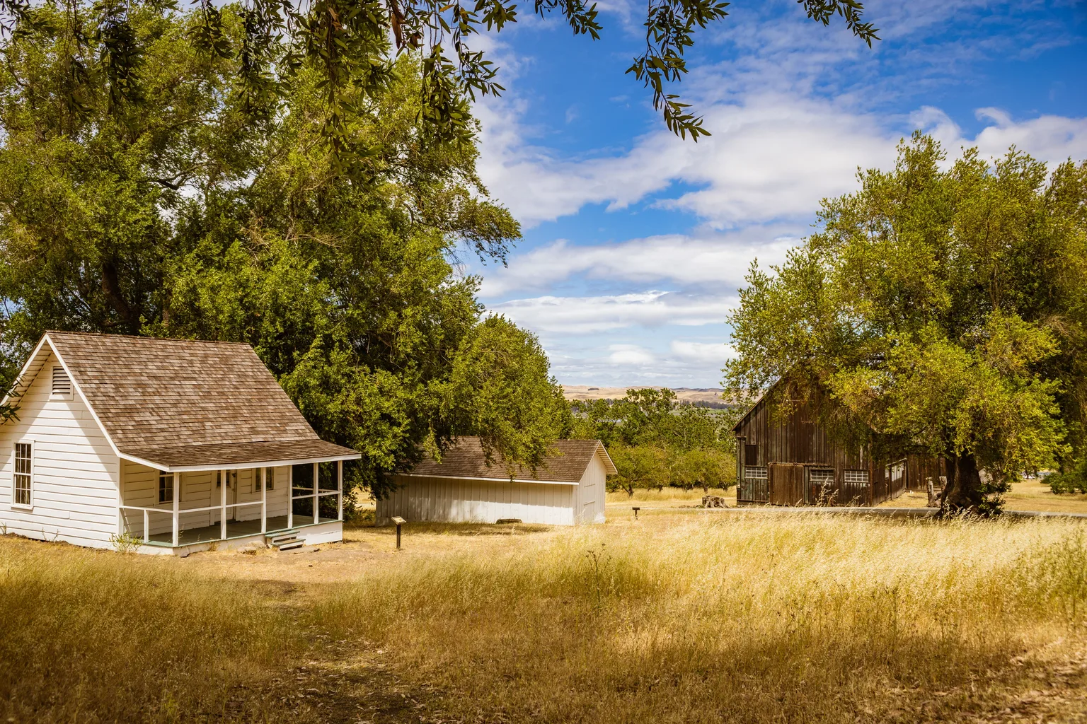 A white farmhouse and weathered barn set among mature trees in open countryside